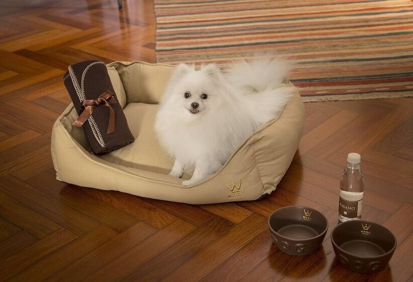 酒店 Fasano Salvador