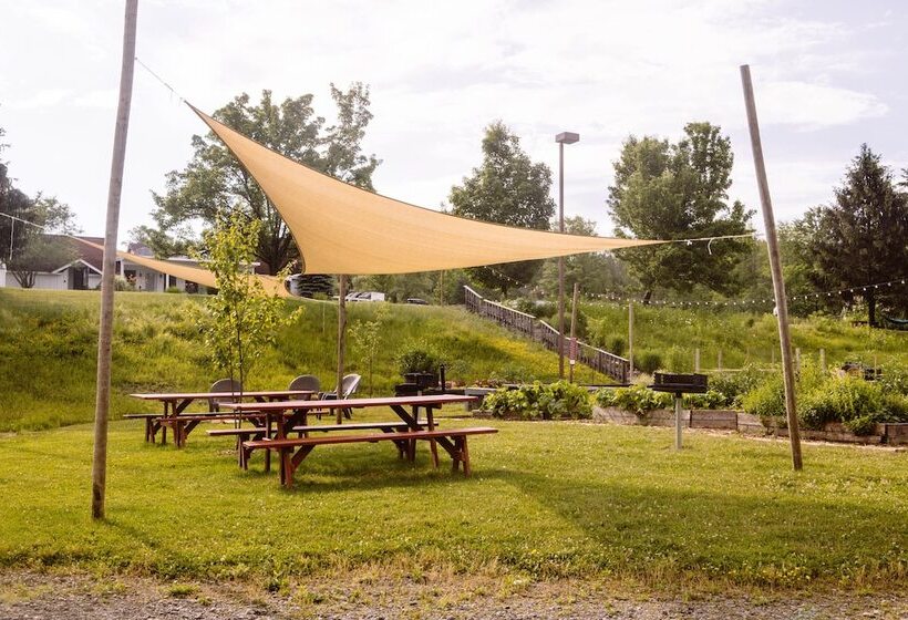 فندق Firelight Camps