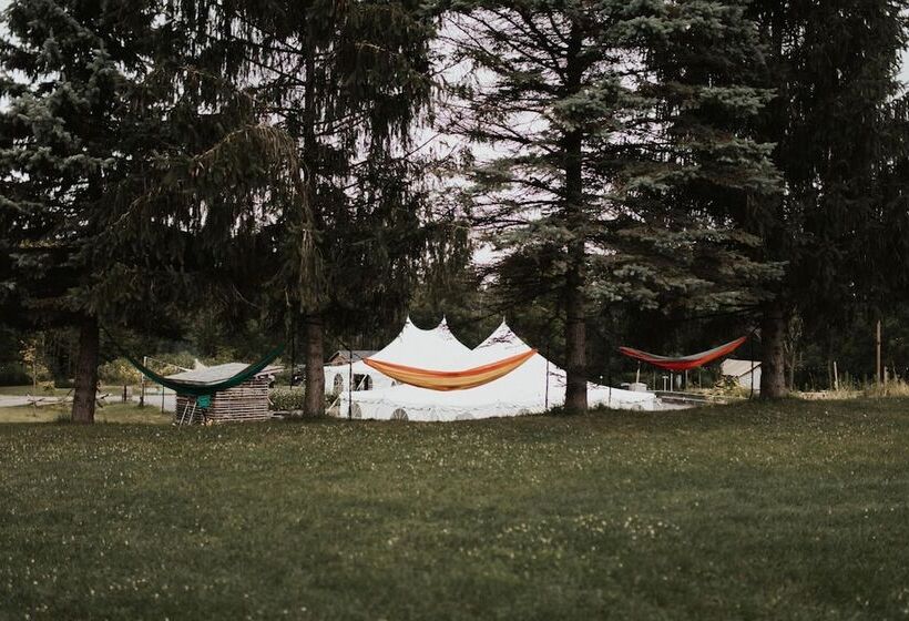 فندق Firelight Camps