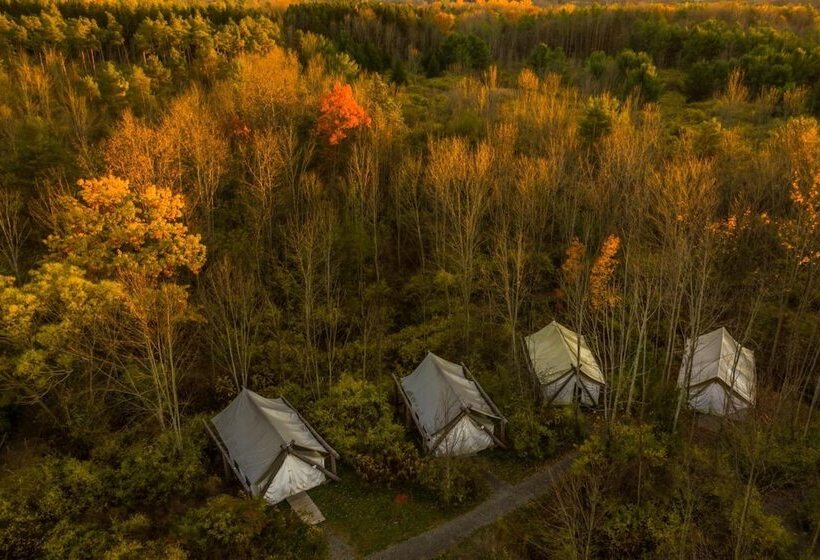 فندق Firelight Camps