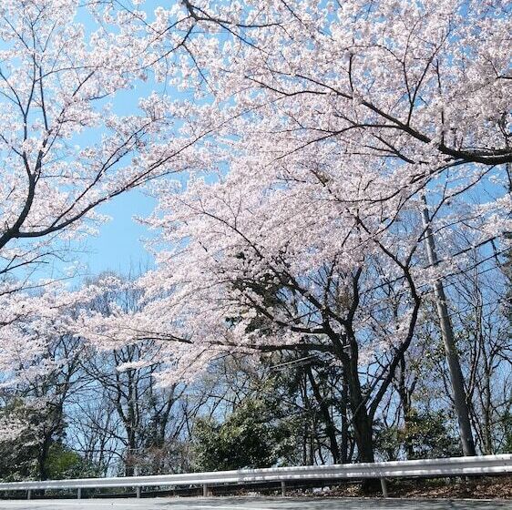 فندق Laforet Shuzenji Sanshisuimei