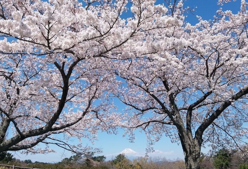 ホテル Laforet Shuzenji Sanshisuimei