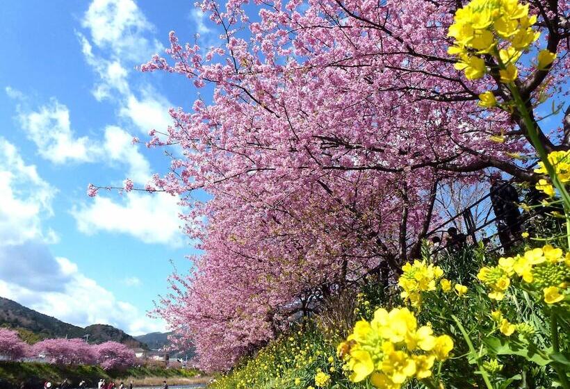 ホテル Laforet Shuzenji Sanshisuimei