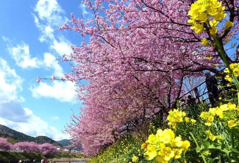 ホテル Laforet Shuzenji Sanshisuimei