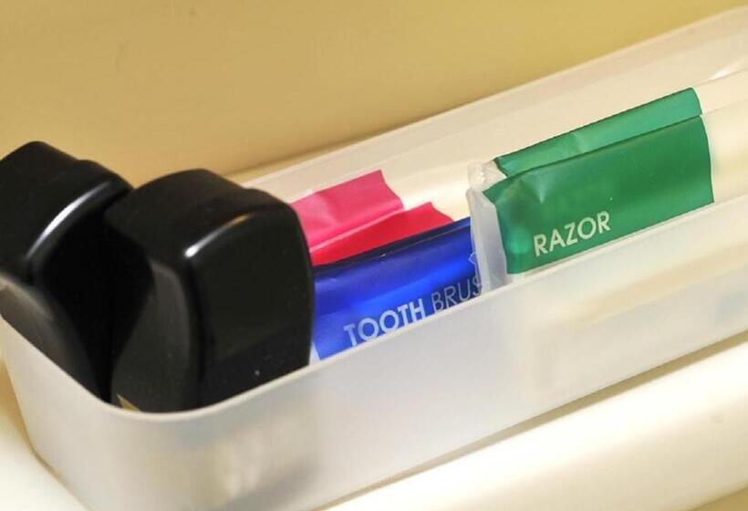 בית מלון כפרי Paco Obihiro Chuo