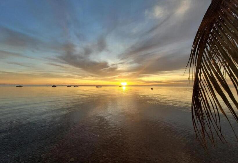 호텔 Posada Del Mar