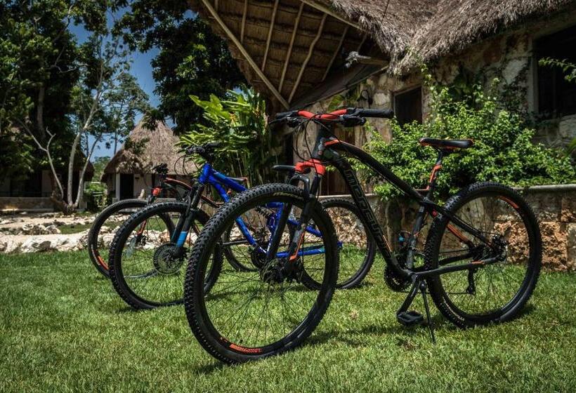 בית מלון כפרי Reserva Nativa