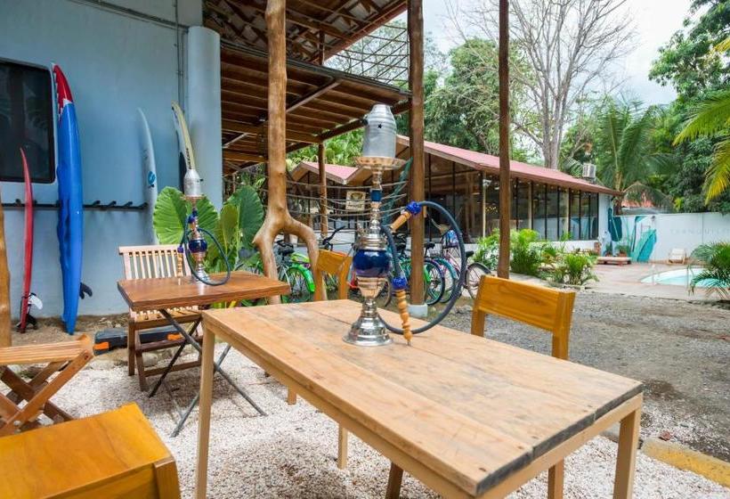 ホテル Selina Santa Teresa South