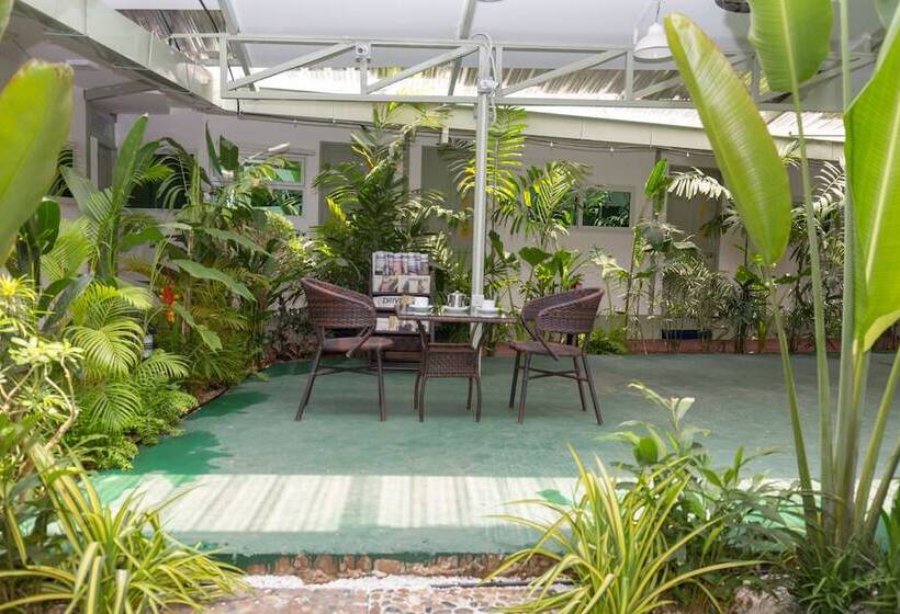 هتل Sky View Bed & Breakfast