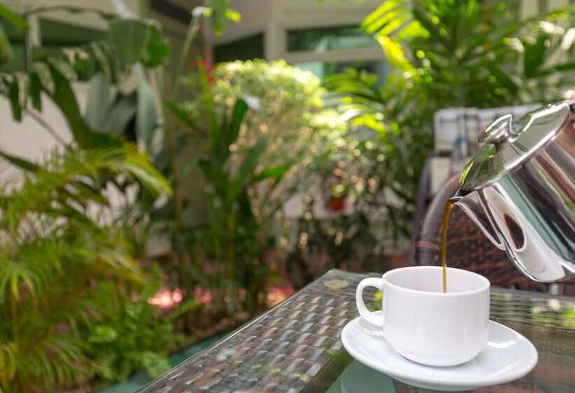 هتل Sky View Bed & Breakfast