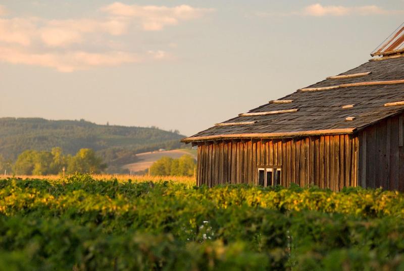 فندق Staybridge Suites   Hillsboro North, An Ihg