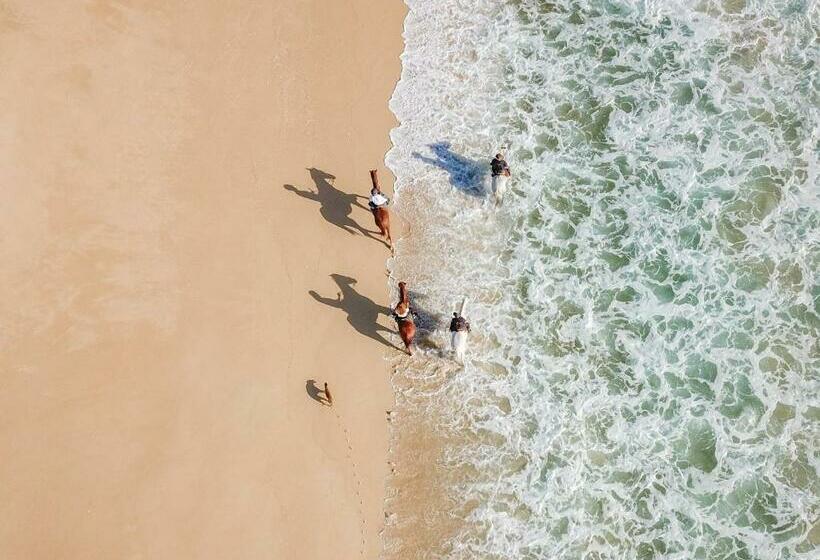 فندق Sublime Comporta Country Retreat & Spa