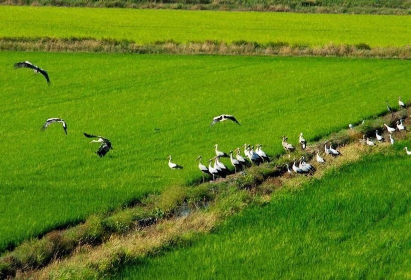 فندق Sublime Comporta Country Retreat & Spa