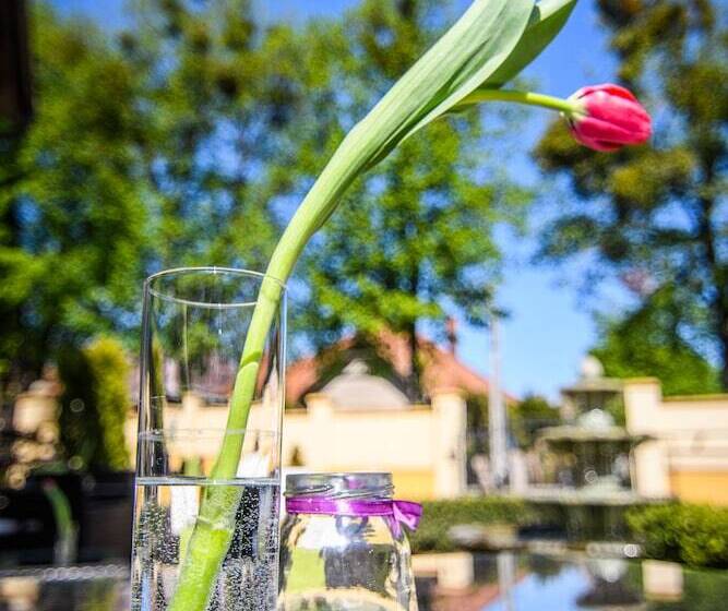 هتل The Rooms By Dalia