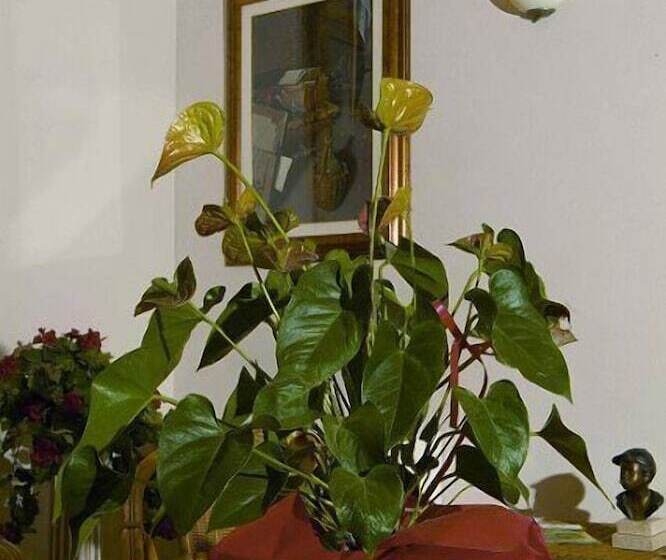 Отель Verena Dependance Savoia & Campana