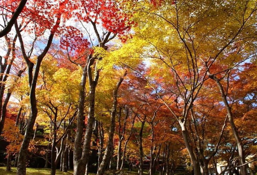 Отель Yutorelo An Annex