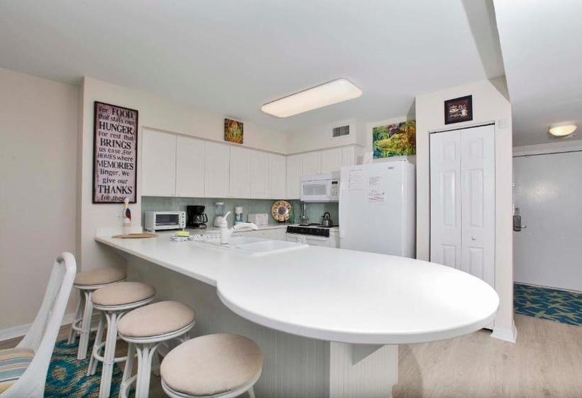 Island Princess 707 Grouper Therapy