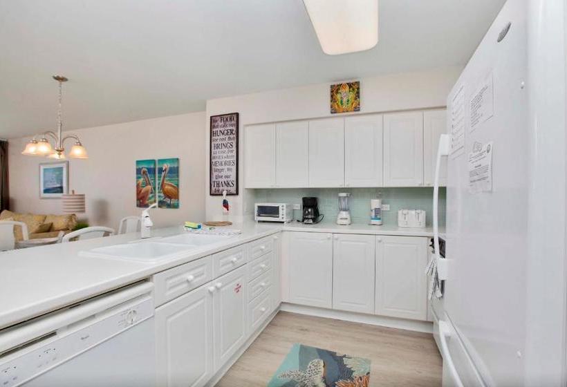 Island Princess 707 Grouper Therapy