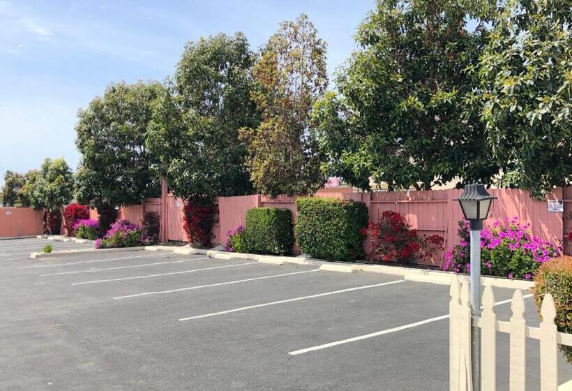 מוטל Pacific Inn