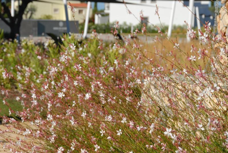 Quinta Do Algarvio Village