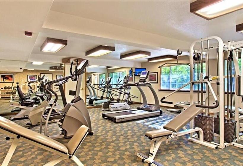 Курорт The Tahoe Beach & Ski Club Owners Association