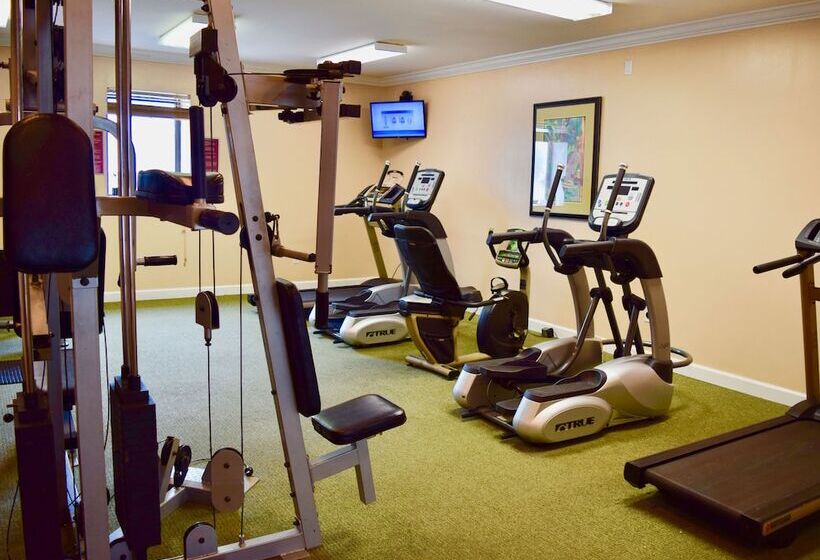 Sands Beach Club 1114 Penthouse By Palmetto Vacation Rentals