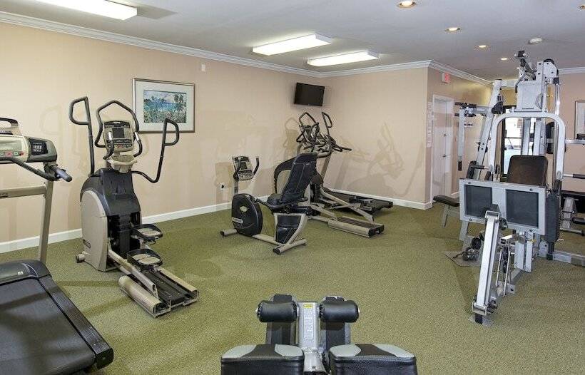 Sands Beach Club 1114 Penthouse By Palmetto Vacation Rentals