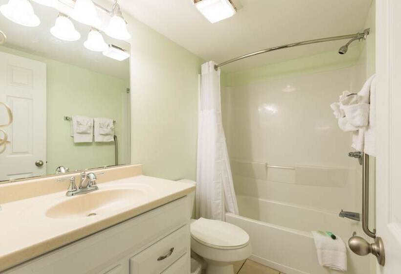 Sands Beach Club 1114 Penthouse By Palmetto Vacation Rentals