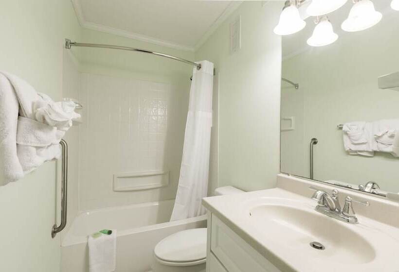 Sands Beach Club 1114 Penthouse By Palmetto Vacation Rentals