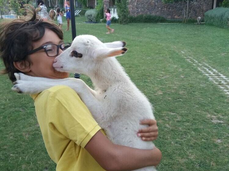 Assos Alis Farm Boutique Hotel & Spa