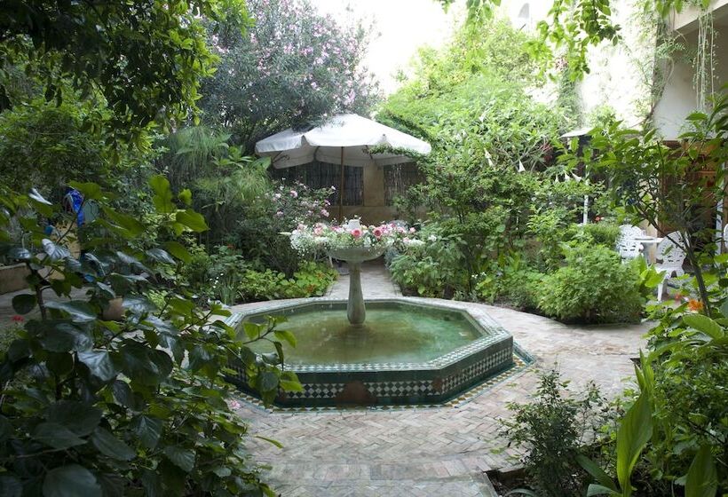 تختخواب و صبحانه Fès & Gestes