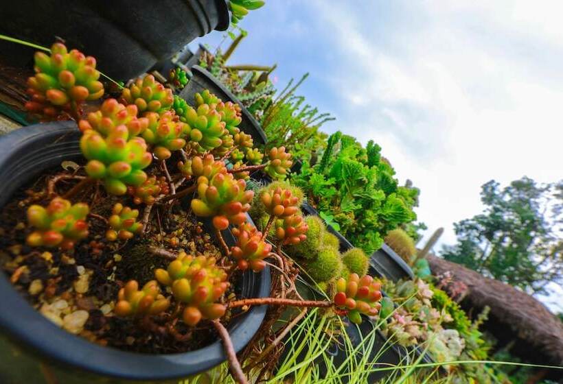 Ella Flower Garden Resort