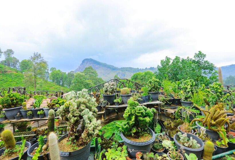 Ella Flower Garden Resort