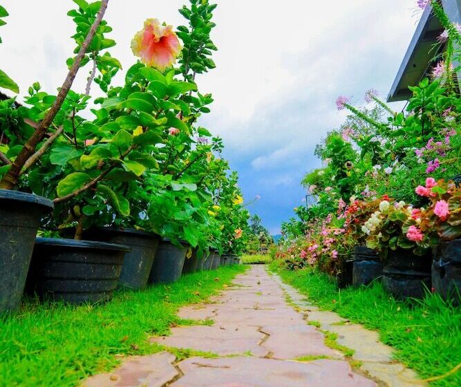 Ella Flower Garden Resort