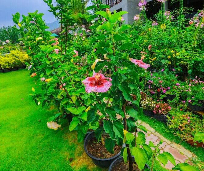 Ella Flower Garden Resort