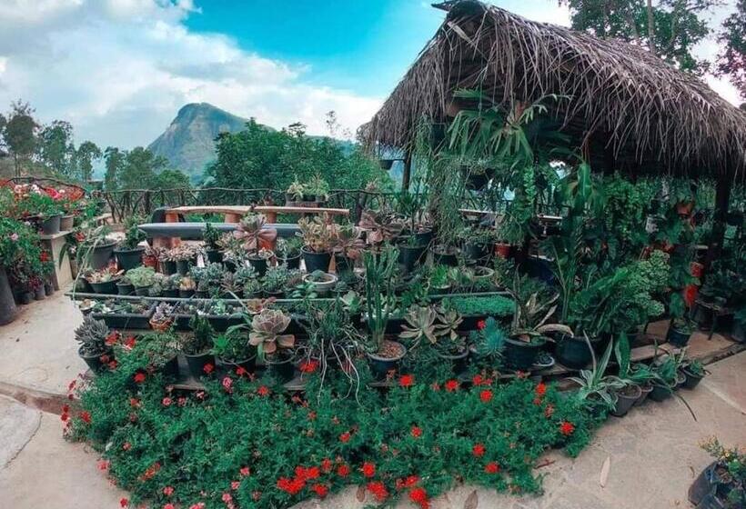 Ella Flower Garden Resort