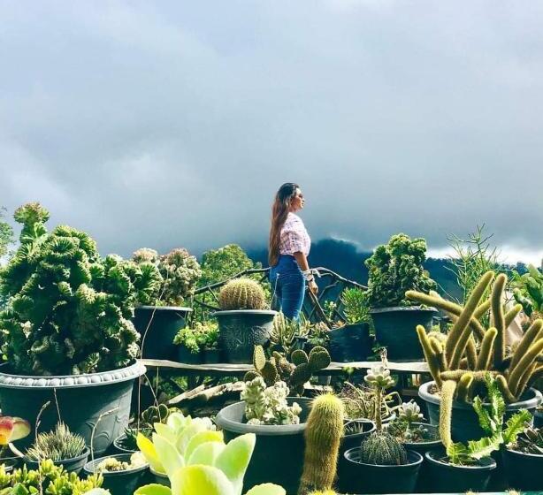 Ella Flower Garden Resort