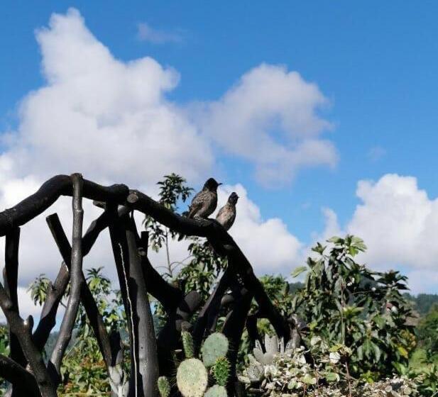 Ella Flower Garden Resort