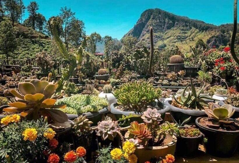 Ella Flower Garden Resort