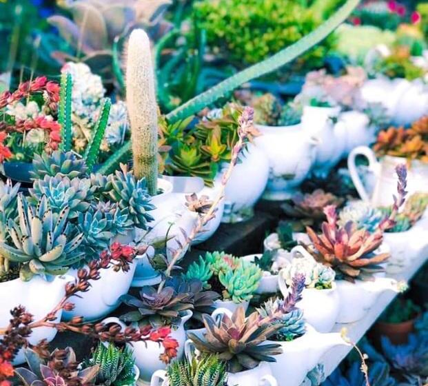 Ella Flower Garden Resort