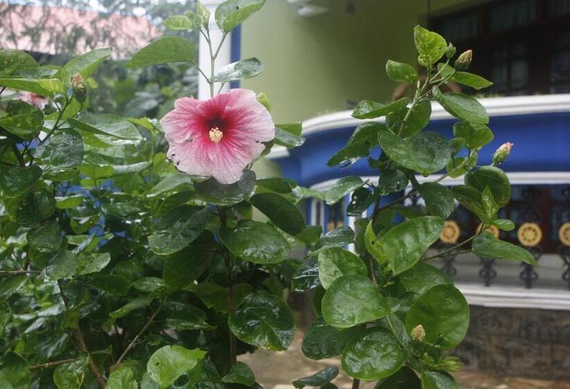 Отель Anitha S Garden Stay