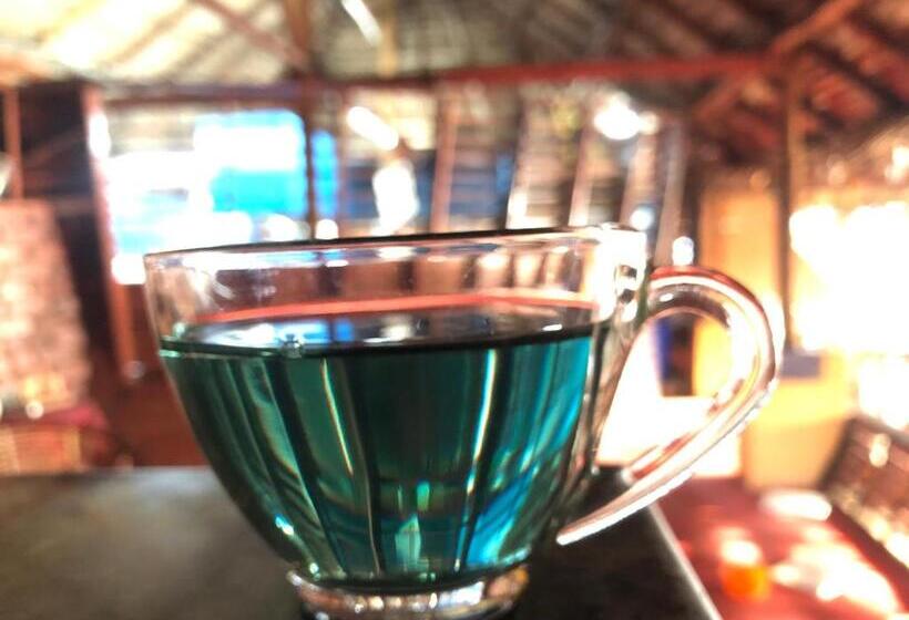 Отель Anitha S Garden Stay