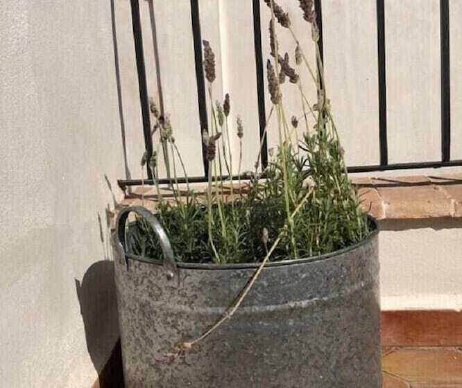 Círculo Artístico 1911 Hotel Boutique