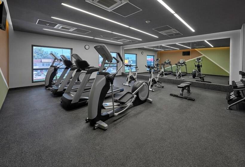 Отель City Express Plus By Marriott Tijuana