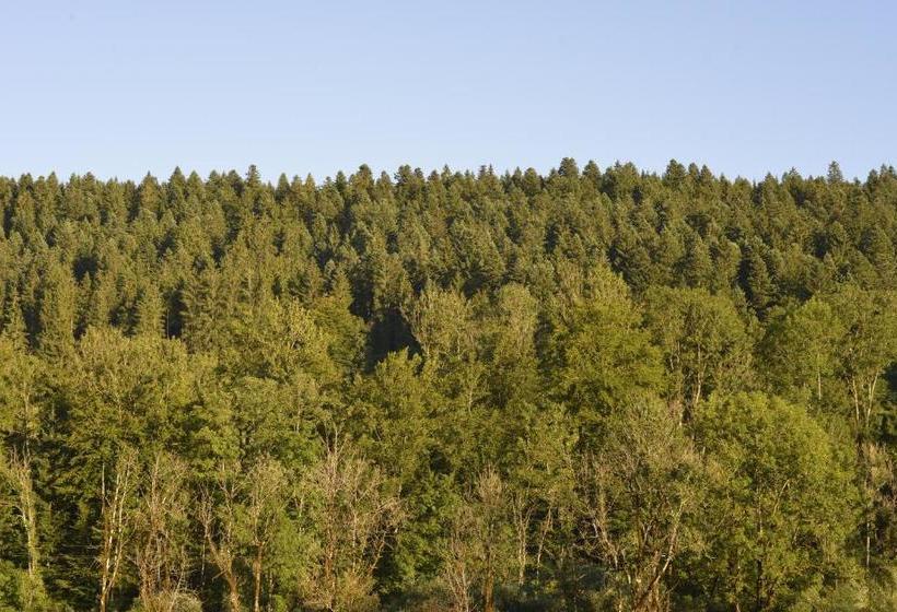 酒店 Hôtel Restaurant Le Sire De Joux