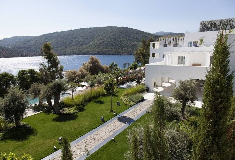 호텔 Il Riccio Beach House