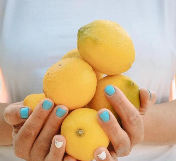 Lemon Garden Hotel Turkbuku