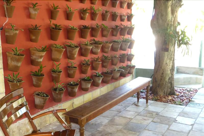 Отель Pousada Das Bromelias