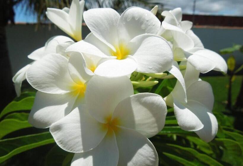 Hotel Pousada Vila Caju