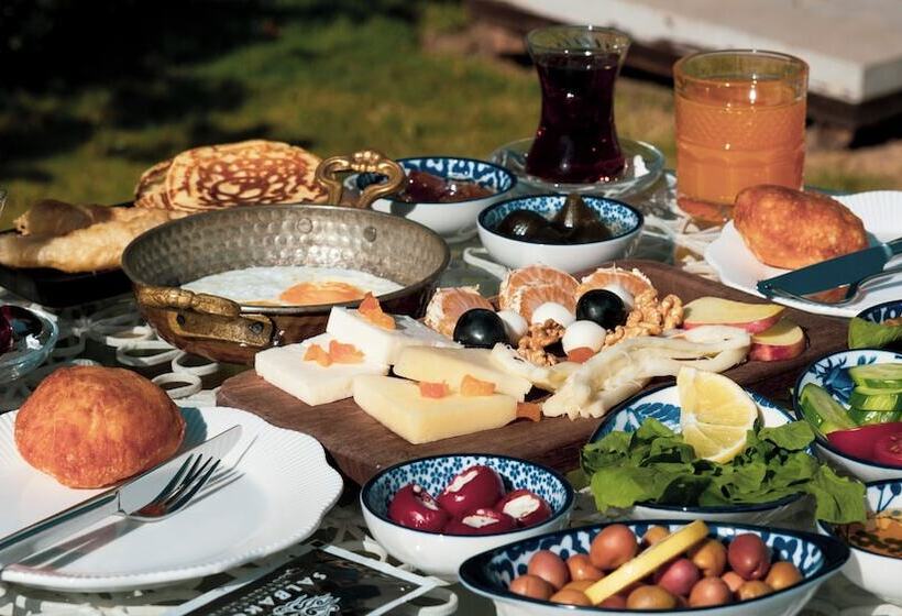 酒店 Salbakos Herakleia Boutique